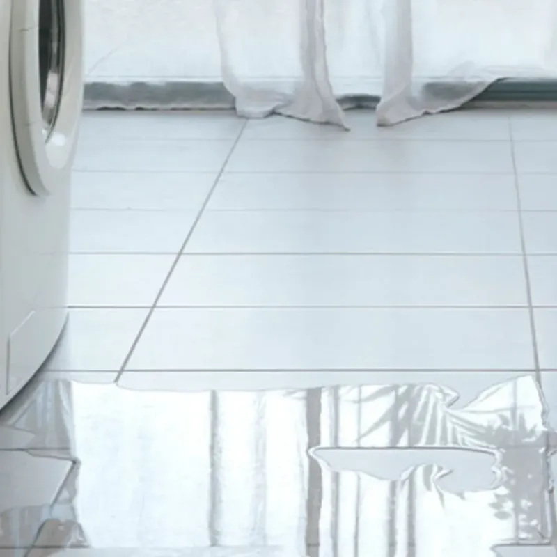 Appliance Leak Cleanup in Brevard County, FL