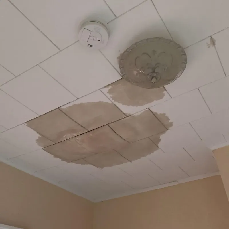 Ceiling Water Damage Repair in Brevard County, FL